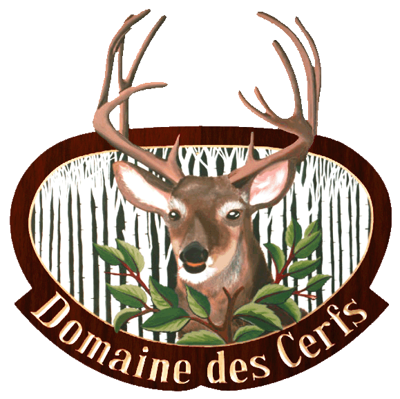 Bienvenue au Domaine des Cerfs !